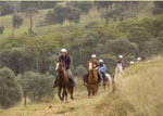 Rubicon Valley Horse Riding